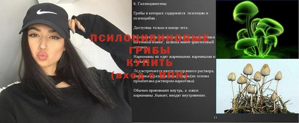 ECSTASY Алексин