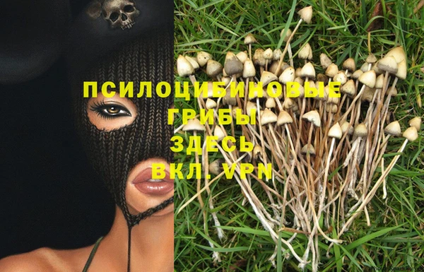 герыч Алзамай